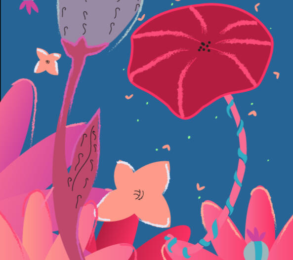 Illustrations