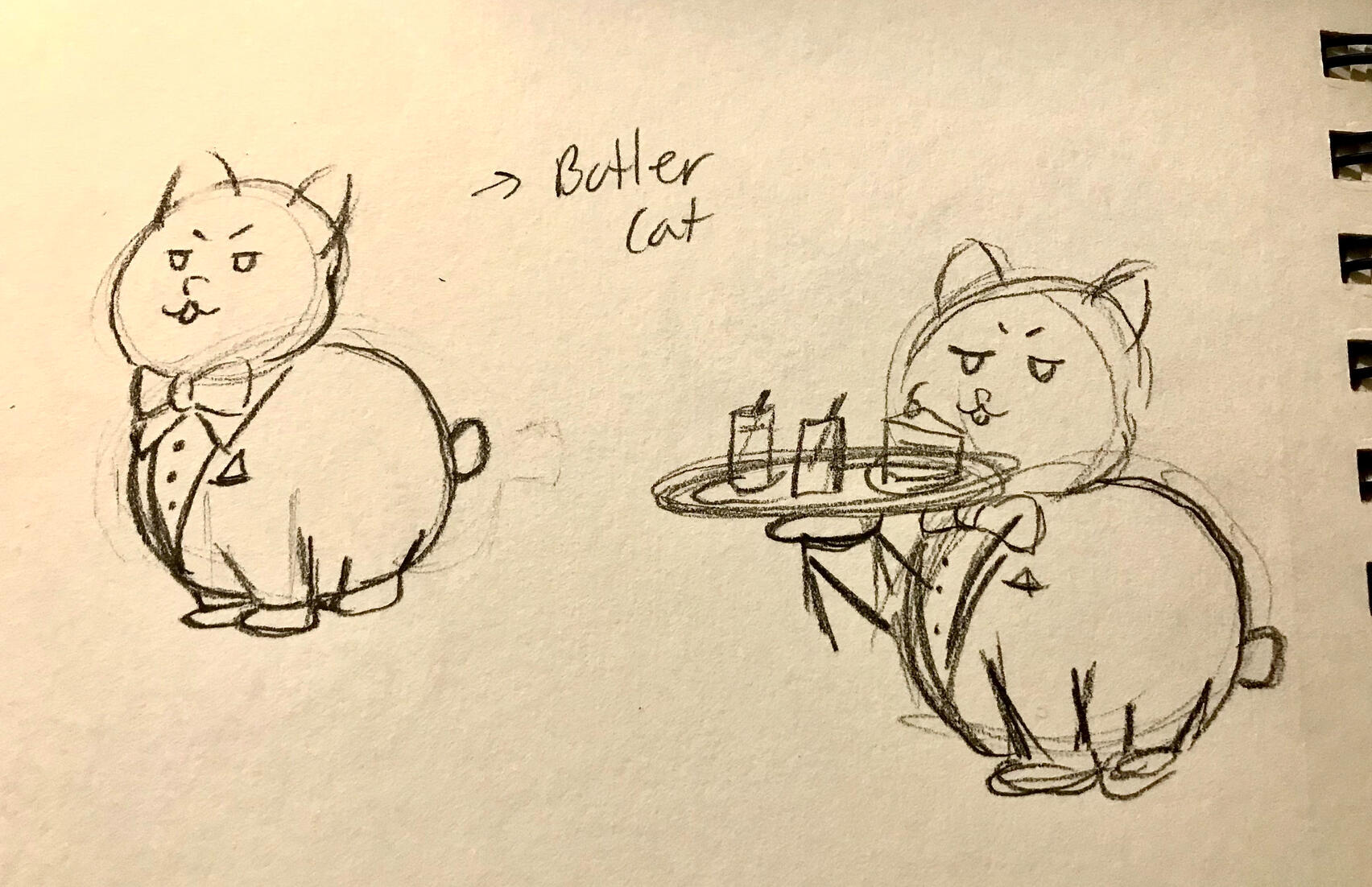 Butler Cat Poses